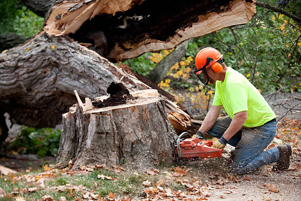 Landscape Design and Installation in Lakefield, MN